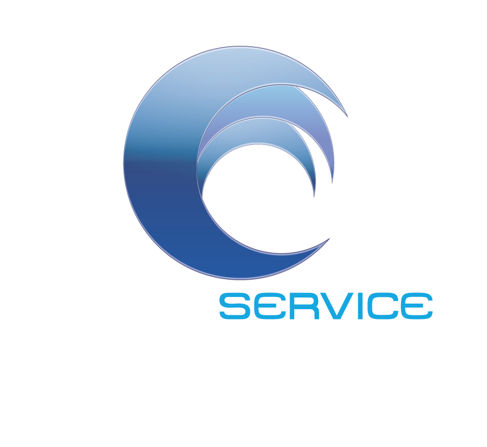 Carlini Service